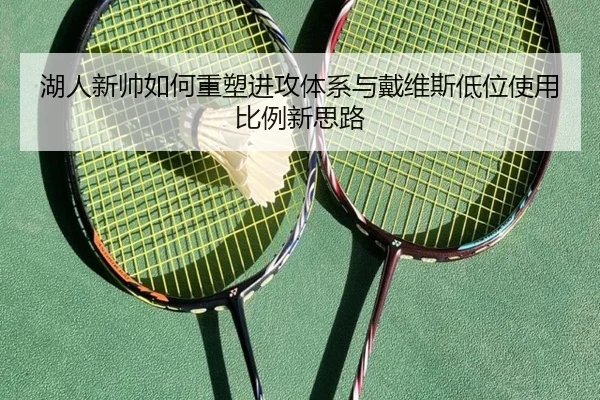 湖人新帅如何重塑进攻体系与戴维斯低位使用比例新思路